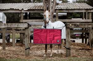 Stable Guards Show Gear: Red Stable Guards