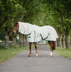 Horse Summer Rugs: Green Check Summer Canvas Detachable