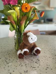 Clothing Bags Giftware: Small Sitting Plushie