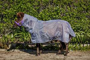 Horse Summer Rugs: Nylon Mesh Combo