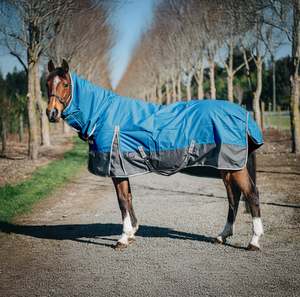 Horse Between Rugs: 1200D 50g Teal/Grey Combo
