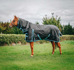 Pony Winter Rugs: 1680D 300g Black Combo (Pony)