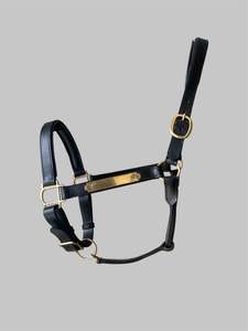 Leather Halter with Brass Fittings Full
