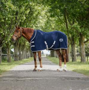 WickAway Navy Rug Only NZ 5.3