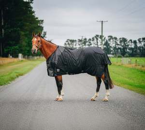 Products: Therapy Rug NZ 4.9