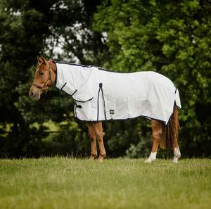 Nz 4 9 Clearance Bin: Summer Combo – Classic NZ 4.9