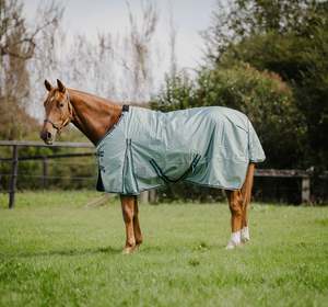 Horse Between Rugs: 1680d 50g Ocean Green Rug Only