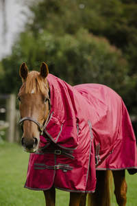 1680D 100g Burgundy Rug Only