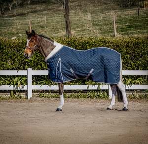 150g Navy Blue Doona (pony)