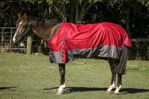 1200D No Fill Red/Grey Rug Only