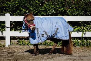 1200D 100g Periwinkle Combo (Pony)