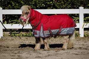 1200D No Fill Red/Grey Combo (Pony) 2026