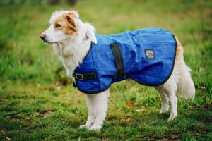 Royal Blue Canvas Dog Coat Wool Lined