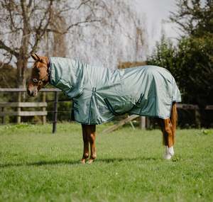 Horse Between Rugs: 1680d 50g Ocean Green Detachable Set