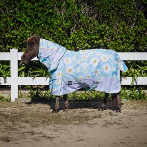 1200D No Fill Mesh Sided Daisy Combo (Pony)