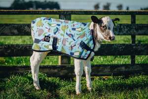 100g Kiwi Bird Calf Cover