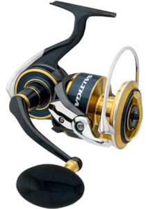 Reels: SALTIGA 20 SPIN  REELS