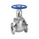 SS316 Class 150 API Globe Valve – Capital Valves