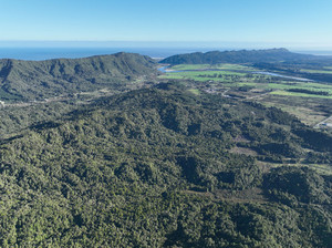 Products: Fairhill Forest 140,000 VVCC® Carbon Equities New Zealand