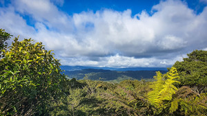 Voluntary Vintage Carbon Credits® - Kaitawa 21,500 VVCC® Carbon Equities New Zealand