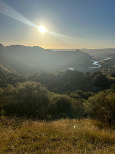 Voluntary Vintage Carbon Credits® - Potaka 40,600 VVCC® Carbon Equities New Zealand