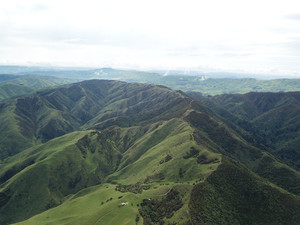 Voluntary Vintage Carbon Credits® - Maroa 55,800 VVCC® Carbon Equities New Zealand