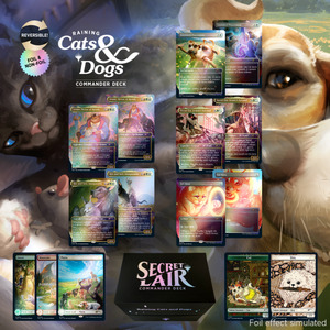 Mtg Secret Lair: Secret Lair: It's Raining Cats and Dogs