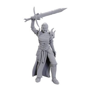 New Arrivals: D&D Nolzur's Marvelous Miniatures: Blackguard