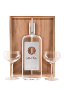 Source & Martini Glass Set