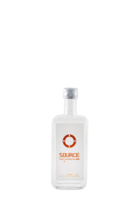 The Source gin - mini - UK