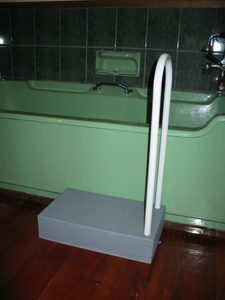 Products: Bath Step with Support Rail