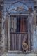 Dog in the Window. Varanasi