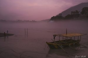 Products: Dock of the Bay