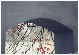 Products: Red Leaves, Hanoi, Vietnam