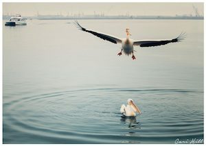 Products: Wait For Me, Swakopmund, Namibia