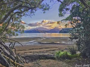 Marlborough Sounds, NZ