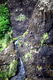 Anawhata Trickling Waterfall