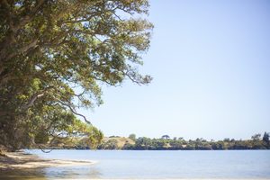 Landscape: Awhitu National Park, Auckland
