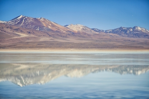 Landscape: Laguna Blanca, Chile