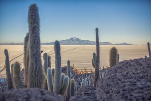 Landscape: Uyuni Salt Flats 2, Bolivia