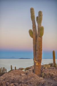 Uyuni Salt Flats 5, Bolivia