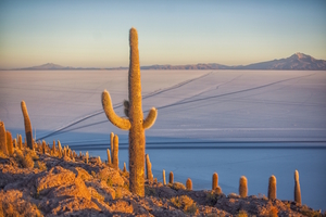 Landscape: Uyuni Salt Flats 4, Bolivia