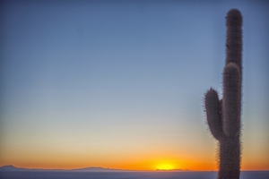 Landscape: Uyuni Salt Flats 10, Bolivia