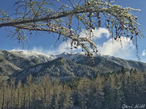 Landscape: South Island Winter
