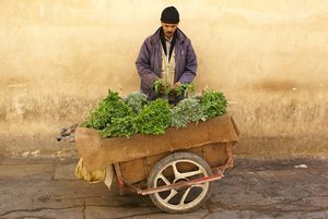 Fez Greengrocer, Morocco