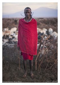 Maasai: Maasai Warrior 2, Amboselli, Kenya
