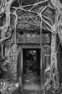 Black and White: Angkor Wat B&W Tree Root Entrance
