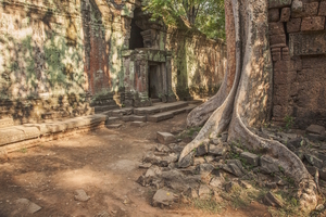 Angkor Wat Dappled Sunlight, Cambodia