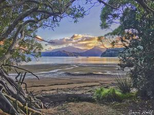 Marlborough Sounds, NZ