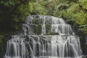 Landscape: Purakaunui Falls
